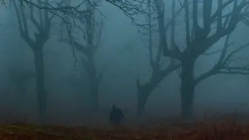 Zasłona do filmu "Negu hurbilak" #193194