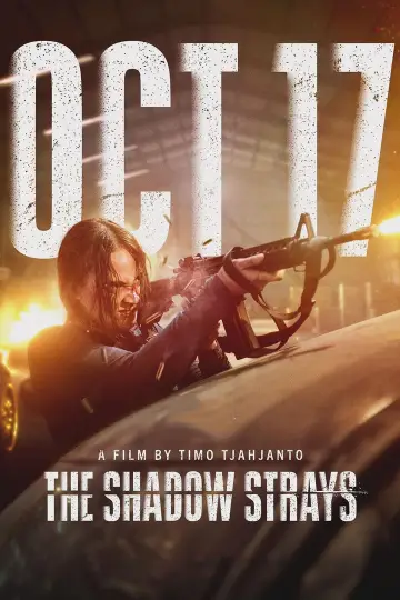 Plakat do filmu "Błędny cień" #631102