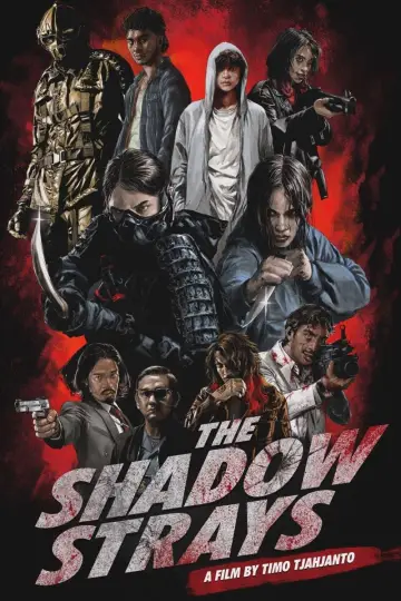 Plakat do filmu "Błędny cień" #631107