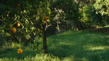 Zasłona do filmu "La Gradiva" #1647466