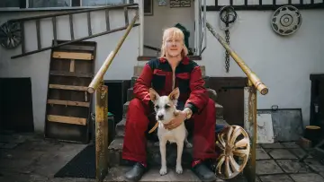 Zasłona do filmu "Gump – jsme dvojka" #412752
