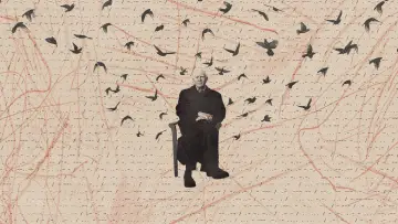 Zasłona do filmu "Tunel z gołębiami" #396871
