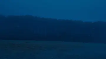 Zasłona do filmu "Zła nie ma" #1385644