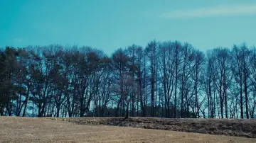 Zasłona do filmu "Zła nie ma" #504024