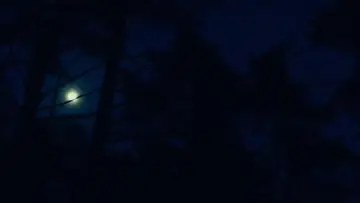 Zasłona do filmu "Zła nie ma" #756355
