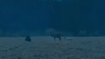 Zasłona do filmu "Zła nie ma" #756361