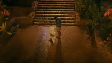 Zasłona do filmu "Moje lato z Carmen" #1115671