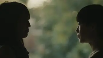 Zasłona do filmu "Didi" #645900