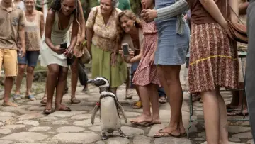 Zasłona do filmu "Mój przyjaciel pingwin" #506444