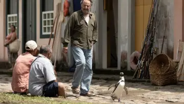 Zasłona do filmu "Mój przyjaciel pingwin" #506447