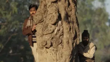 Zasłona do filmu "लापता लेडीज़" #1003338