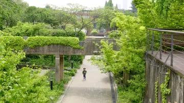 Zasłona do filmu "땅에 쓰는 시" #427213