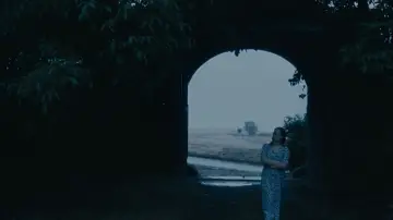 Zasłona do filmu "Rok wdowy" #730343