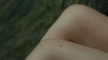 Zasłona do filmu "Rok wdowy" #730348