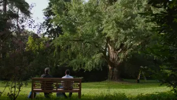 Zasłona do filmu "Stille Freundin" #793981