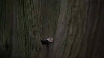 Zasłona do filmu "Stille Freundin" #816431