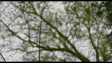 Stille Freundin