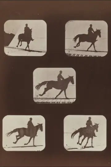 Plakat do filmu "The Horse in Action" #982814