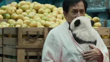 Zasłona do filmu "Kryptonim Panda" #1895336