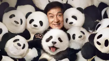 Zasłona do filmu "Kryptonim Panda" #572742