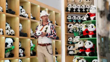 Zasłona do filmu "Kryptonim Panda" #572754