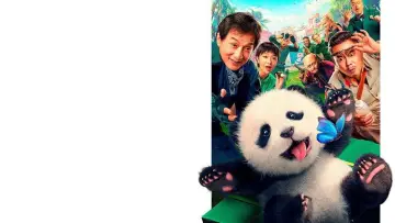 Zasłona do filmu "Kryptonim Panda" #572758