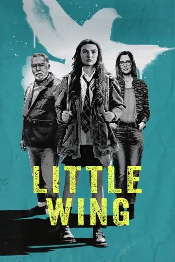 Plakat do filmu "Little Wing" #1016127