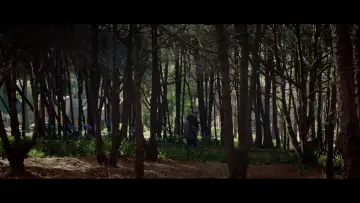 Zasłona do filmu "Paréntesis" #1889859