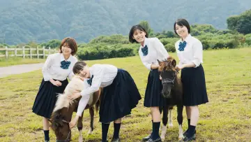 Zasłona do filmu "17歳は止まらない" #541783