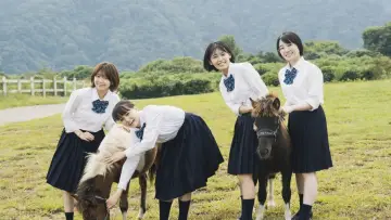 Zasłona do filmu "17歳は止まらない" #541784