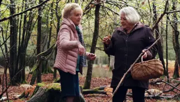 Zasłona do filmu "Kiedy nadchodzi jesień" #605254