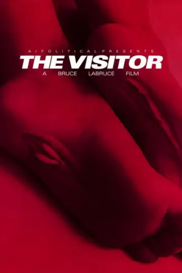 Plakat do filmu "The Visitor" #191744