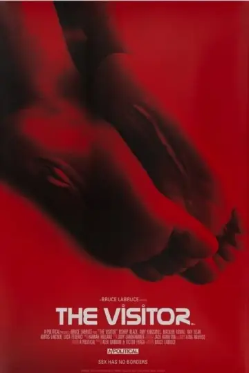 Plakat do filmu "The Visitor" #191746