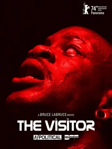 Plakat do filmu "The Visitor" #756935