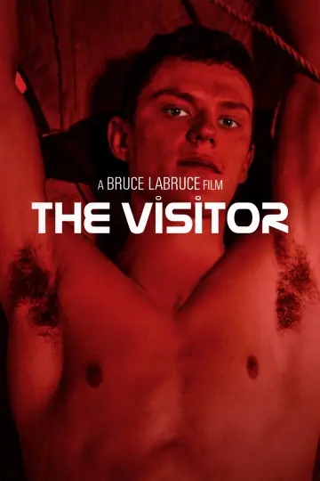 Plakat do filmu "The Visitor" #756938