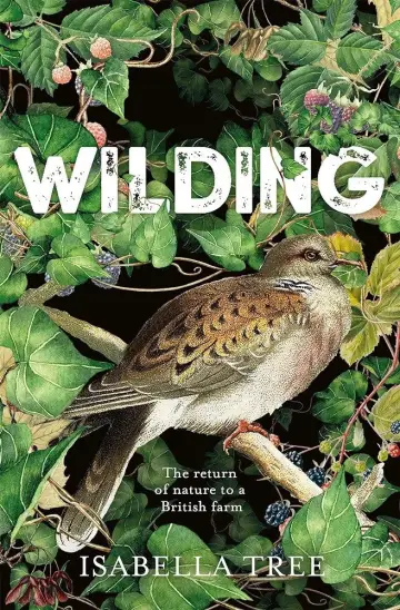 Plakat do filmu "Wilding" #1115511