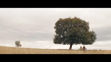 Zasłona do filmu "Стадото" #1184577