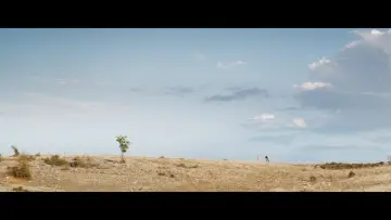 Zasłona do filmu "Стадото" #1184580