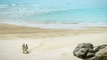Zasłona do filmu "바얌섬" #646999