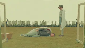 Zasłona do filmu "Łabędź" #1018752