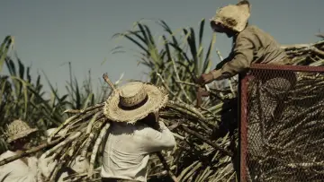 Zasłona do filmu "Érase una vez en el Caribe" #1121178