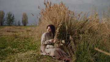 Zasłona do filmu "Złota żądza" #847713