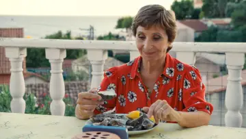 Zasłona do filmu "La pie voleuse" #645753