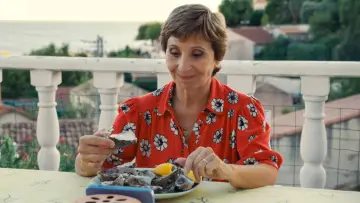 Zasłona do filmu "La pie voleuse" #645781