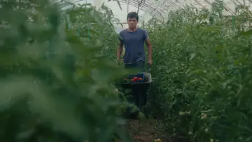 Zasłona do filmu "Θερμοκήπιο" #1107561