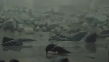 Zasłona do filmu "Diuna: Mesjasz" #828467