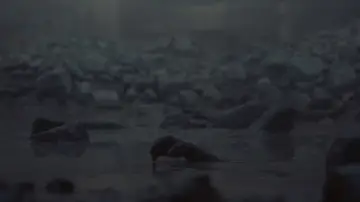 Zasłona do filmu "Diuna: Mesjasz" #910515