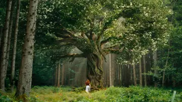 Zasłona do filmu "Dziewczyna o imieniu Willow" #1878368
