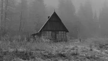 Zasłona do filmu "Rose" #1652076