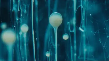 Zasłona do filmu "SPERMWORLD" #443192